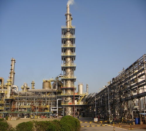 走近零碳 上海化工區調研 企業減排看效益,園區須加強統籌